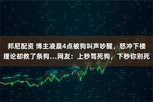 邦尼配资 博主凌晨4点被狗叫声吵醒，怒冲下楼理论却救了条狗…网友：上秒骂死狗，下秒你别死